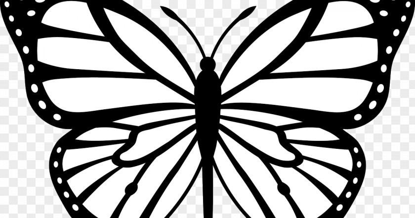 Wing Pollinator Monarch Butterfly Drawing PNG