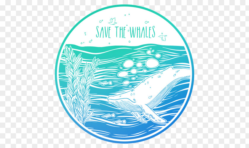 Hike Stickers Sticker Whale Decal T-shirt Adhesive PNG