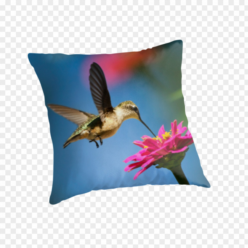 Hummingbird Fine Art Acrylic Paint PNG