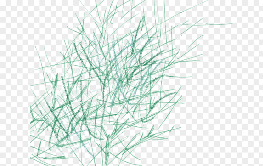Messy Grass Leaf PNG