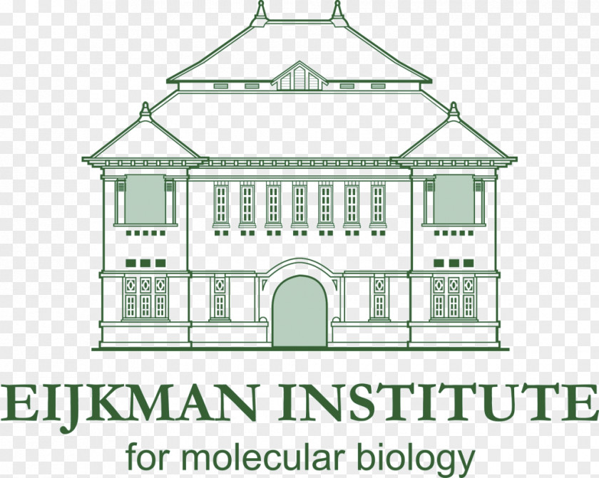 Ngos Eijkman Institute For Molecular Biology Research Logo Faculty PNG
