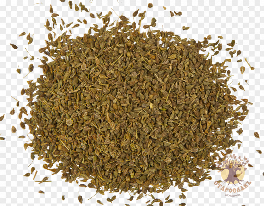 Plant Anise Nalewka Seed Herb Infusion PNG