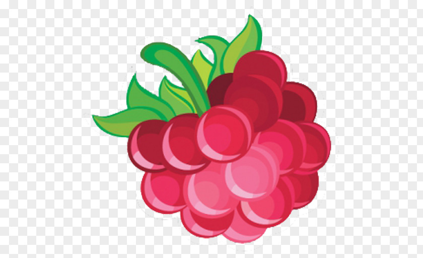 Raspberry Fruity Popper Blobby Volleyball PNG