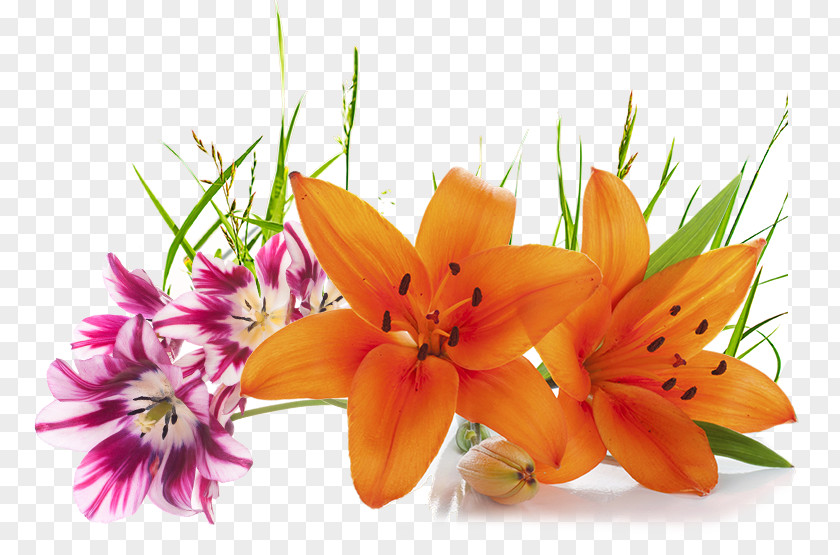 Banana Leaves Cut Flowers Lilium Orange PNG