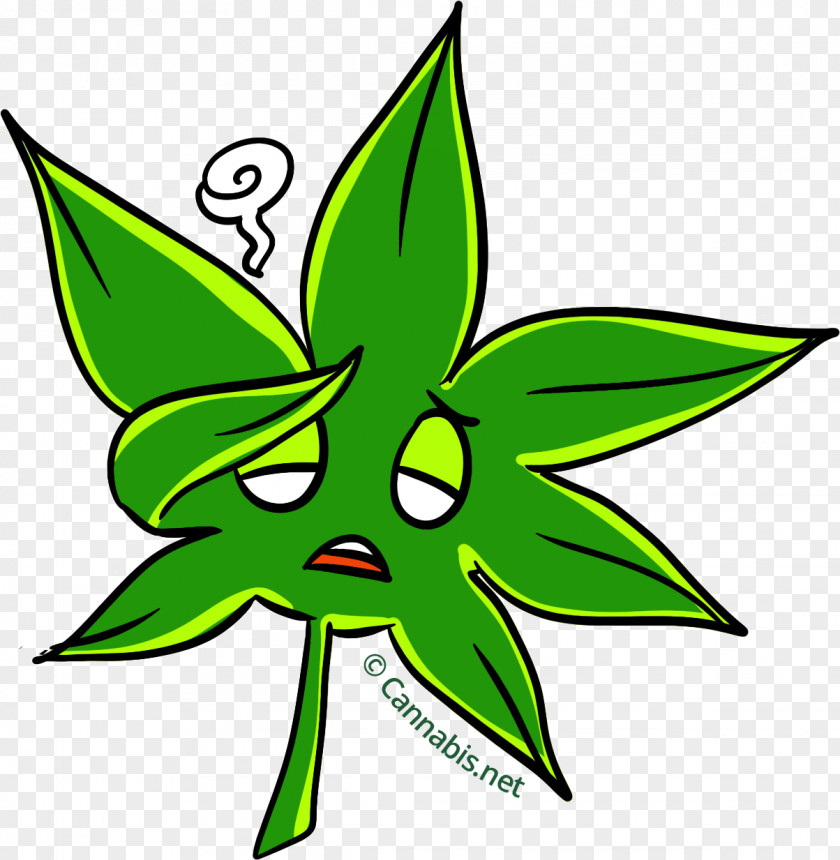 Cannabis Leaves Tea Cup Marijuana Leaf PNG