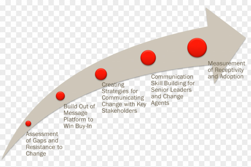 Corporate Elderly Care Leading Change: An Action Plan From The World's Foremost Expert On Business Leadership Change Management Process Modeling PNG