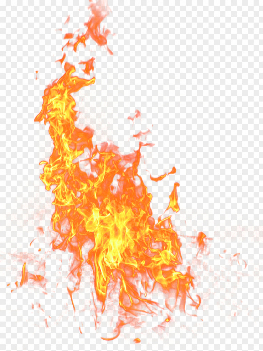 Fire PNG clipart PNG