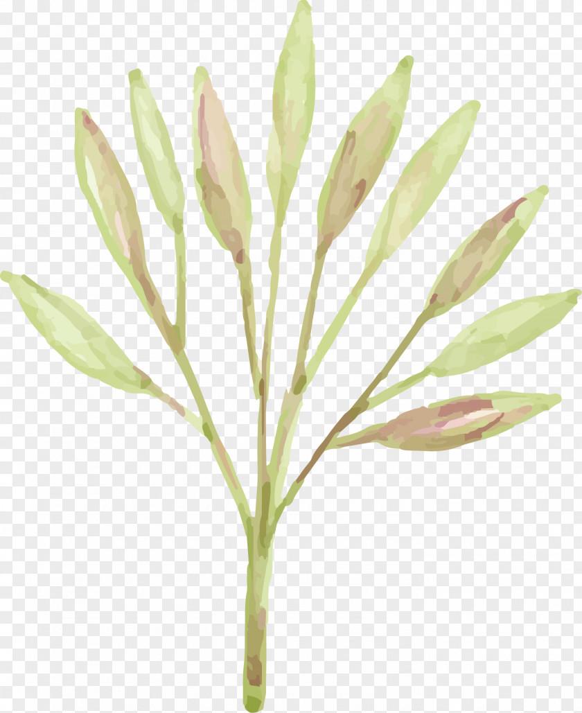 Spring Leaves Clip Art PNG