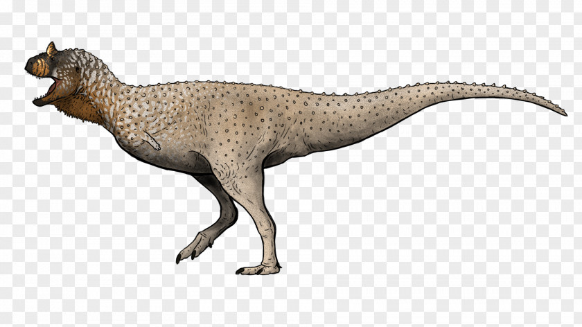 Dinosaur Tyrannosaurus Coelophysis Velociraptor Prehistoric Kingdom PNG