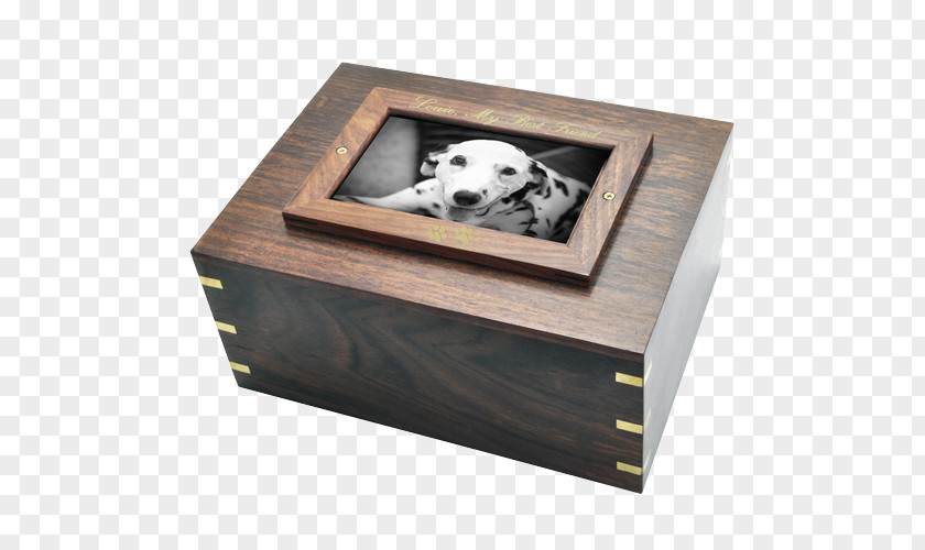 Dog The Loss Of A Pet Urn Cremation PNG