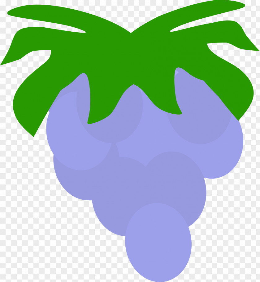 Dragon Fruit Grape Plant Food PNG