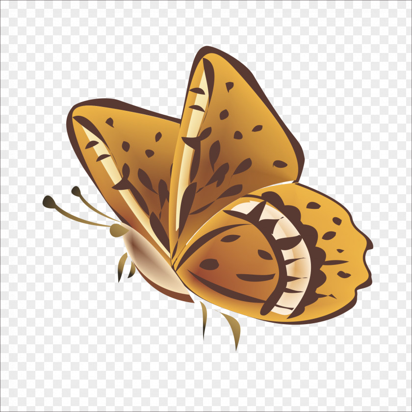 Butterfly Monarch Nymphalidae Pattern PNG