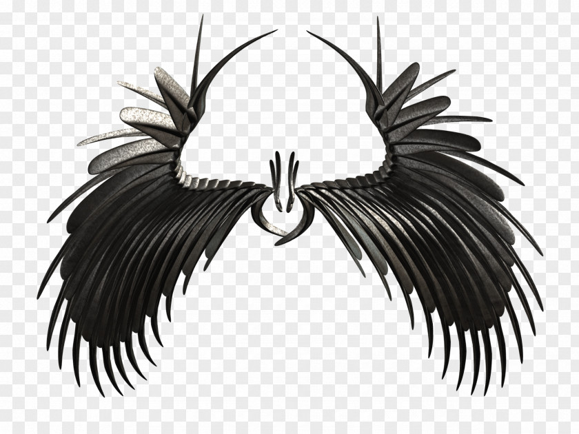 Feather Beak Neck White PNG