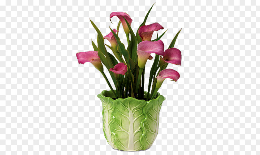 Flower Floral Design Arum-lily Cut Flowers Calyx & Corolla, Inc. PNG