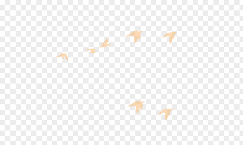 Flying Bird Area Angle Pattern PNG