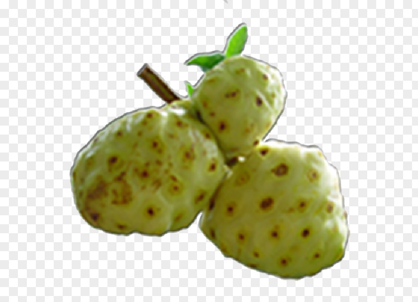 Health Cheese Fruit Food Annona Morinda, Inc. PNG