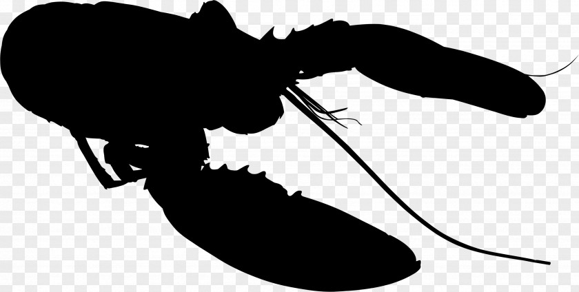 Insect Clip Art Silhouette Line Pest PNG