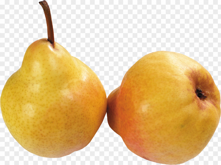 Pear Juice European Asian Amygdaloideae Food PNG