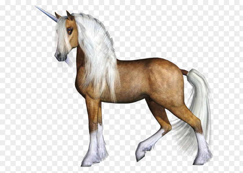 UNICORN 1 Unicorn Pony Horse Clip Art PNG