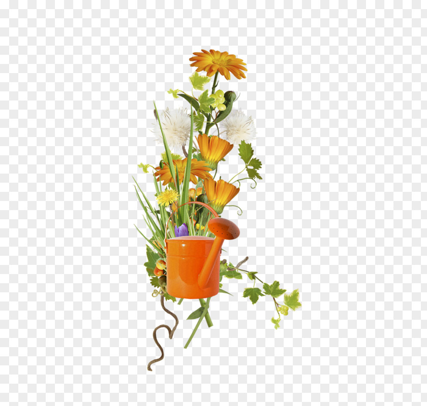 Floral Design Chrysanthemum Image Clip Art PNG