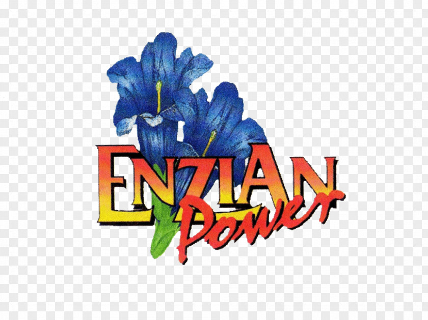 Flower Logo Brand Flowering Plant Font PNG