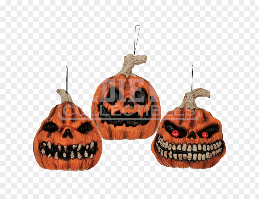 Pumpkin Jack-o'-lantern Gourd Halloween Vine PNG