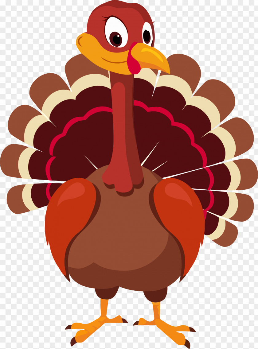Wild Turkey Thanksgiving PNG