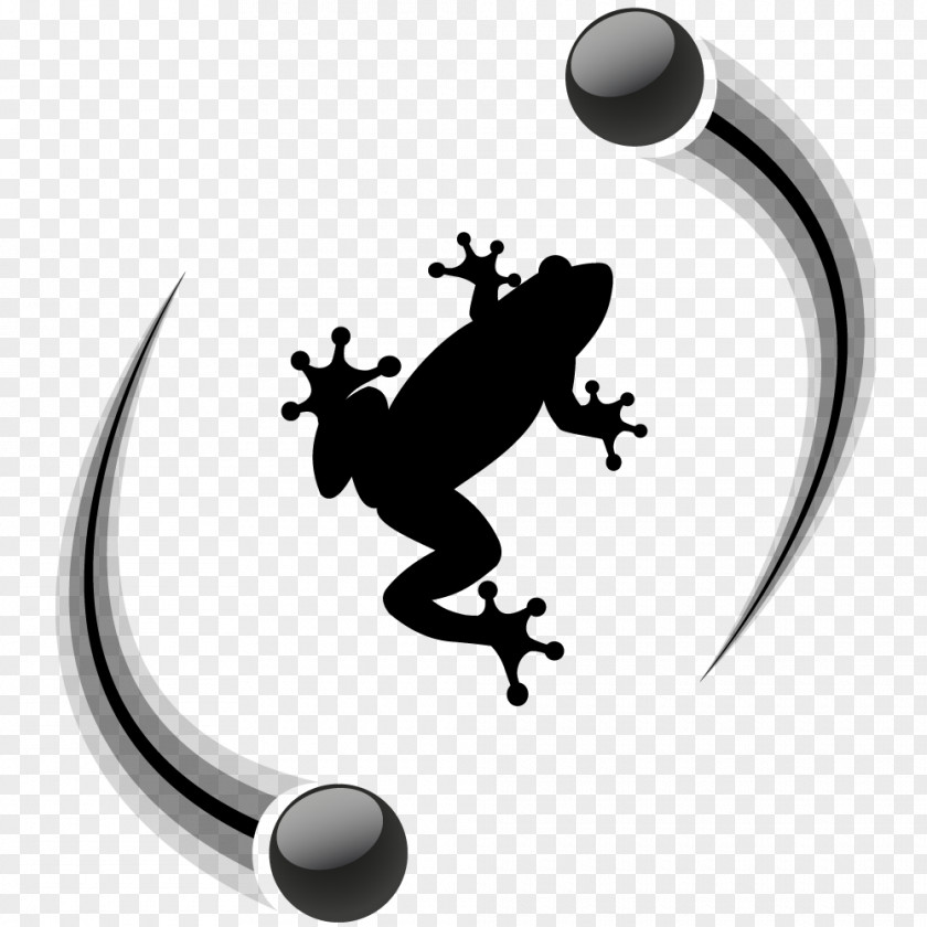 Frog Logo Clip Art PNG