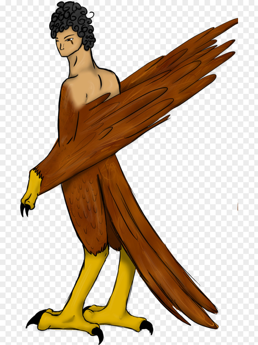 Harpy Daemon Beak PNG
