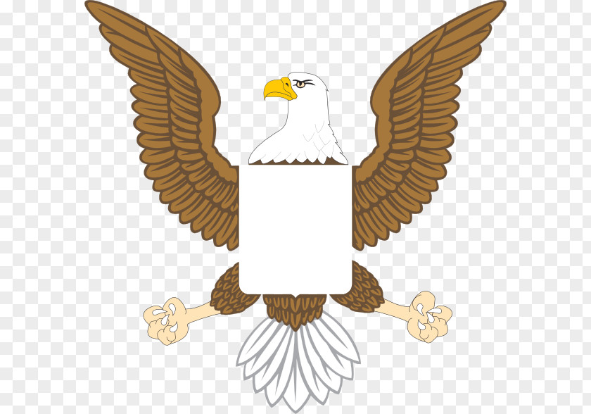 Eagle Bald United States Clip Art PNG