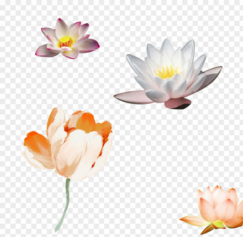 Great Creative Lotus Paper Flower Watercolor Painting Floral Design Poster PNG