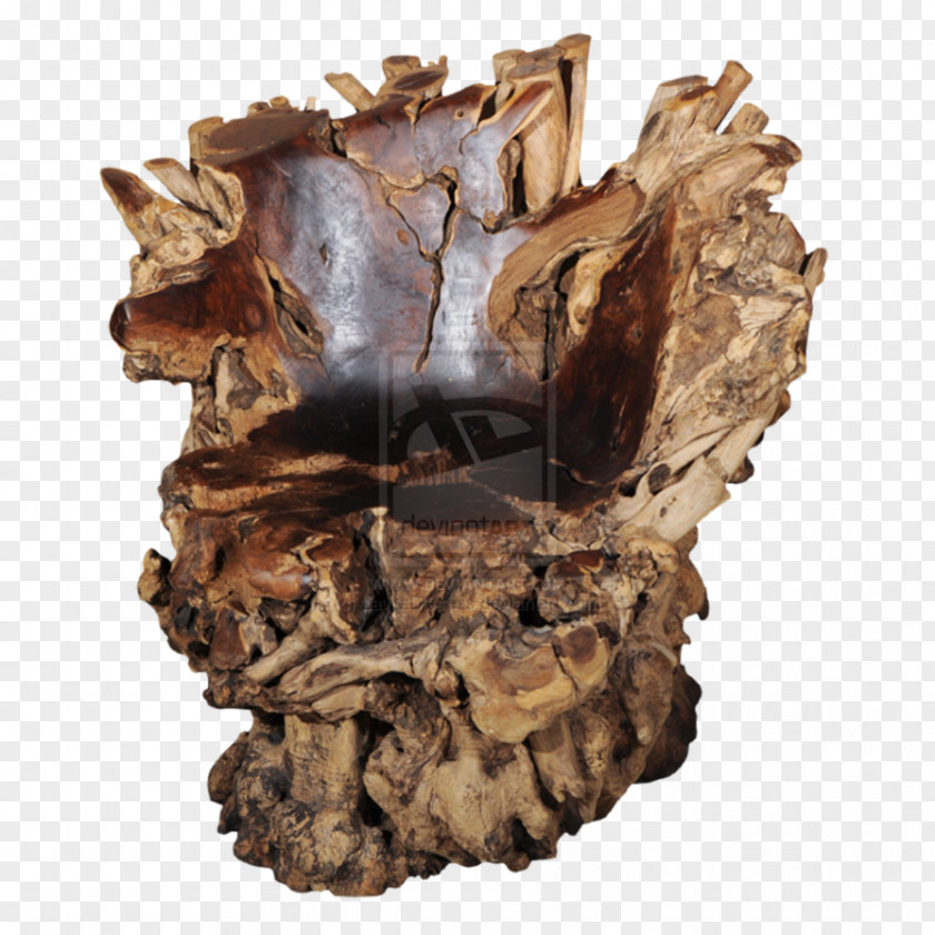 Stump Table Chair Tree PNG