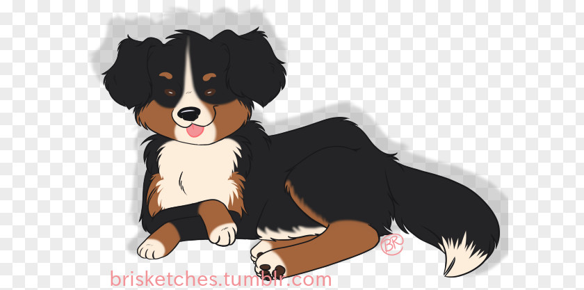 Bernese Mountain Dog Poodle Doodle Breed Entlebucher Puppy Companion PNG