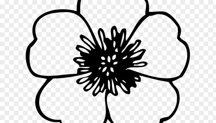 Black And White Flower Line Drawing Clip Art Transparency PNG