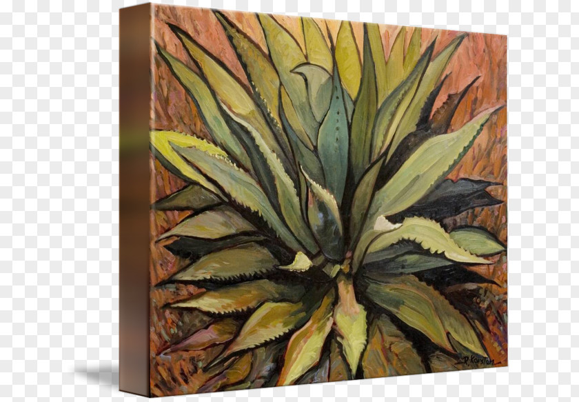 Pineapple Agave Azul Deserti Modern Art Gallery Wrap PNG