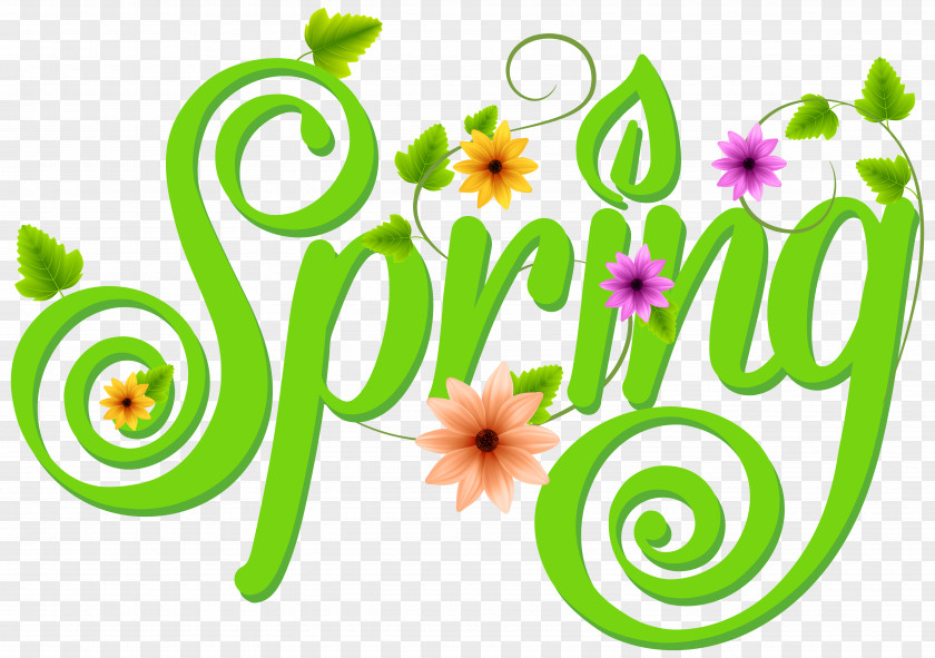 Spring Decoration Clip Art Image Typeface PNG