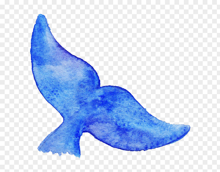 Cartoon Fish Tail Royalty-free Blue Whale Drawing Illustration PNG
