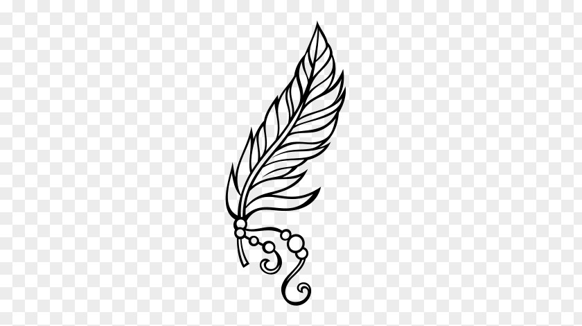 Feather Drawing Pen Coloring Book PNG