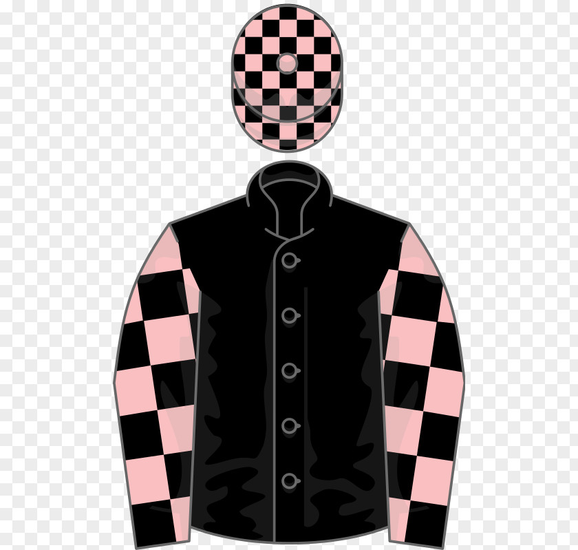 Kingwell Hurdle Sleeve PNG