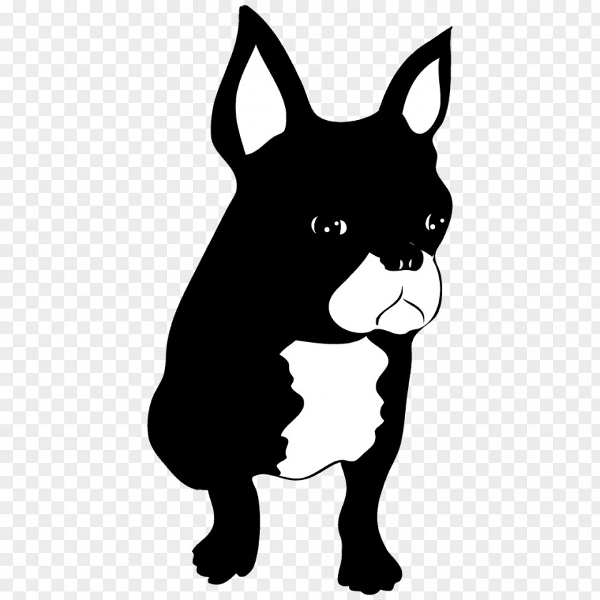 Puppy French Bulldog Boston Terrier Dog Breed PNG