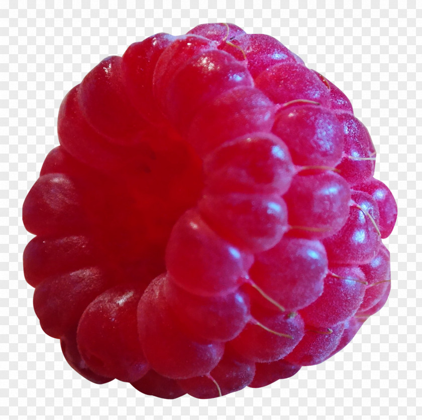 Raspberry Frutti Di Bosco PNG