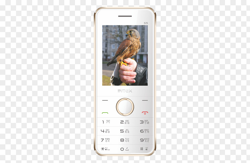 Samsung Galaxy S5 Intex Smart World Specification Telephone Micromax Informatics PNG