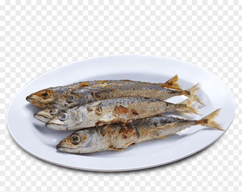 Broasted Chicken Sardine Pacific Saury Tinapa Fish Products Anchovies As Food PNG