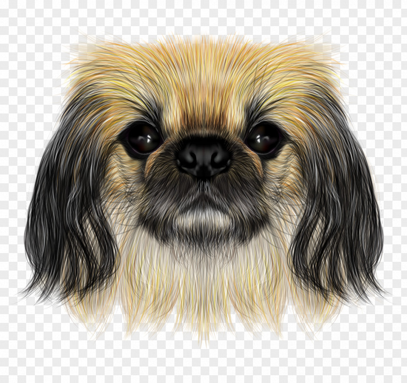 Exquisite Hand-painted Cartoon Lifelike Pet Dog Shih Tzu Pekingese Yorkshire Terrier Chinese Crested Puppy PNG