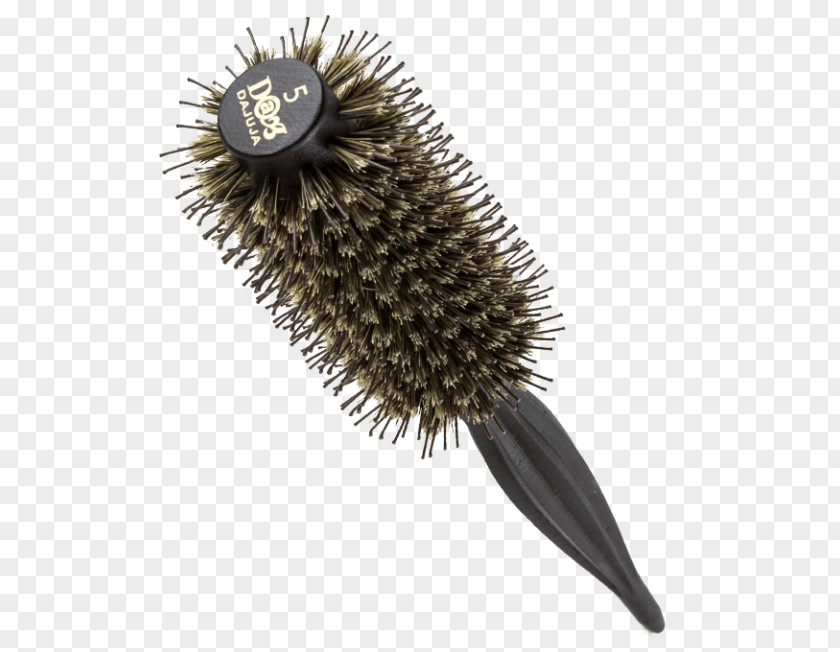 Gold Brush Comb Bristle Wild Boar Beauty PNG