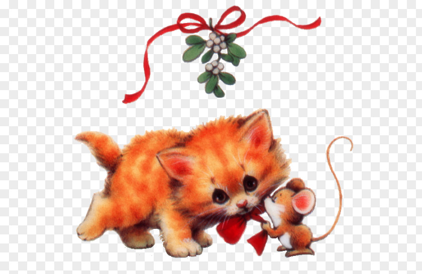 Mouse Cat Kitten Animal Red Fox PNG