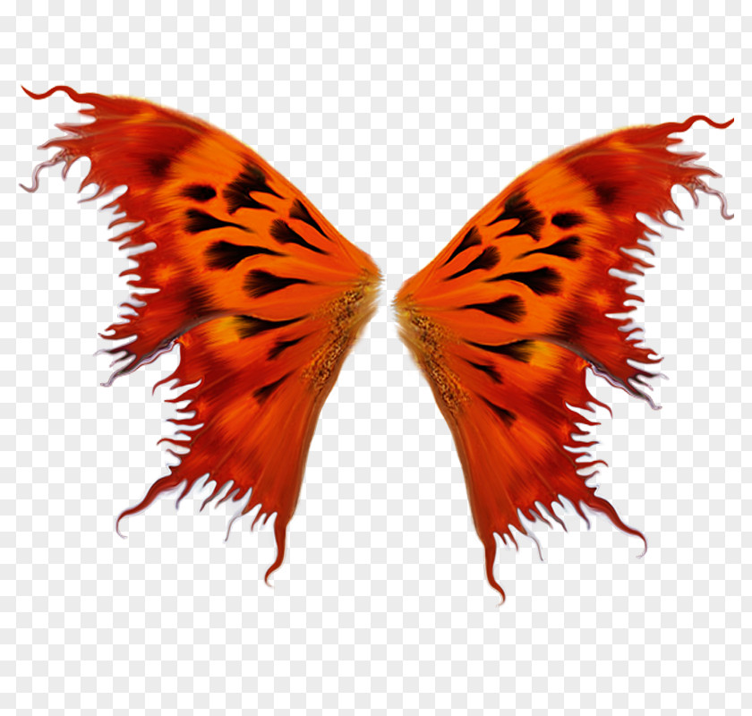 Red Wings Butterfly Insect Wing Moth PNG