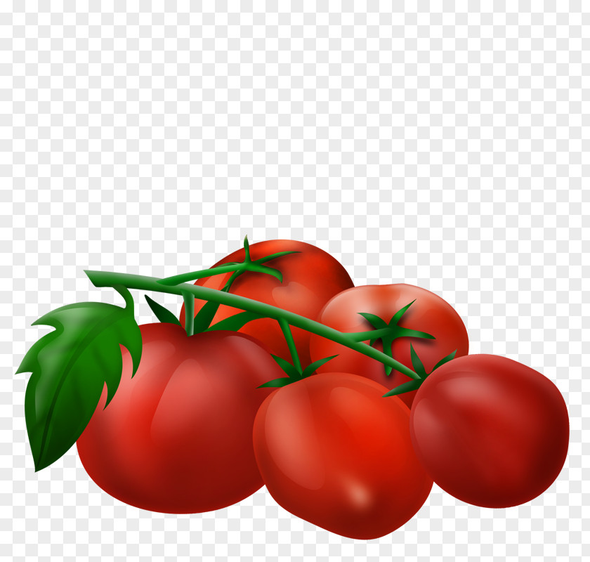 Tomato Plum Vegetable Cherry Bush Fruit PNG
