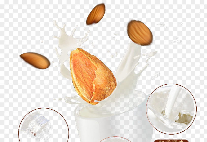 Background Of Almond Milk Apricot Kernel PNG