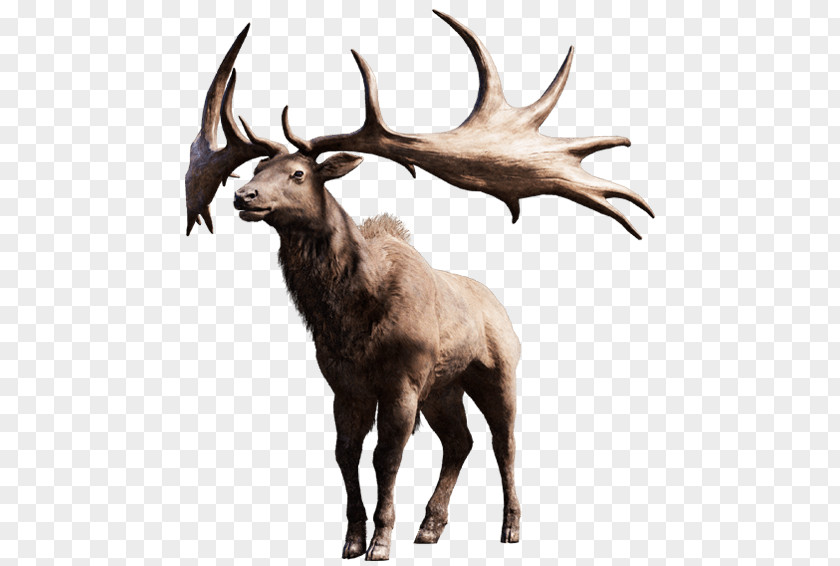 Deers Far Cry Primal 5 3 PlayStation 4 PNG